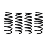 Eibach Coil Spring Lowering Kit E10-201-002-01-22 