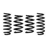 Coil Spring Lowering Kit E10-87-002-03-22