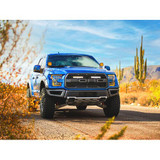 Ford F-150 Raptor (2017-2020) - Grille Mount Kit (Carbon-6 Drive Yellow Dip)