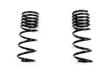 Coil Spring Set