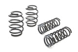 Eibach SPECIAL EDITION PRO-KIT Performance Springs (Set of 4 Springs) E10-51-022-01-22 