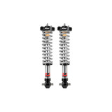 Coilover Spring and Shock Assembly E86-35-059-03-20