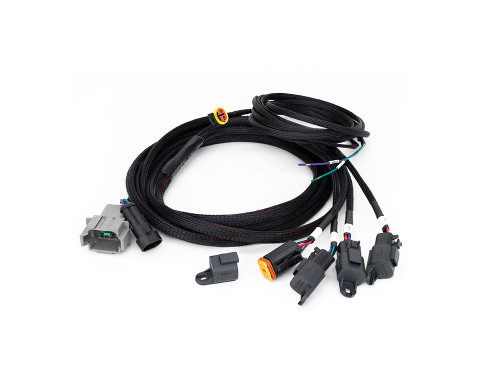 Triple R Lights Four-Lamp Harness Kit - with DT04-08 Connector (Carbon-6 Gen3, 12V) 