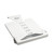 GP Factor Starlink Gen4 Full Size QD Mount - White 