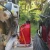 Motomule Gear Tray XL