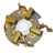WARN For Warn Winch Brush Plate 