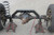 Clayton Off Road 4 Link Axle Truss D35D44D60F8.8 Ford 9 inch and Sterling 10.25 Clayton Off Road 