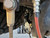 Clayton Off Road Jeep Gladiator Adjustable Rear Track Bar 2020+ JT Clayton Off Road 