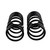 Old Man Emu Rear Coil Spring Set ARB2838