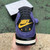Jordan 4 Retro Lakeshow