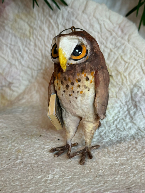 Owl with Book
