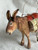 Fully-Packed Donkey