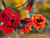 Red Poppy Necklace - DIY KIT