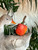 Goose with Apple