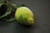 Lemon Pendant - Digital Tutorial - English
