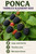 Ponca Thornless Blackberry Bush Berryking.com