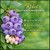 Rebel Southern Highbush Blueberry Plant Berryking.com