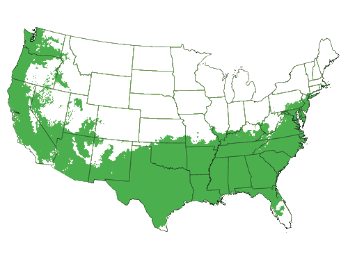 map-img