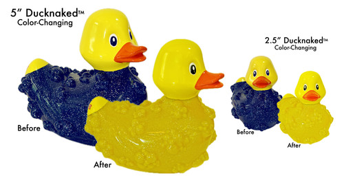 5" Ducknaked and Little Ducknaked 2.5"  - both Color-Changing.  To activate the color-changing abilities; simply submerge Ducknaked in warm water or place Little Ducknaked on the dash of your car and within seconds watch the warm sun transform its blue bubbly coat strip away to become Ducknaked.