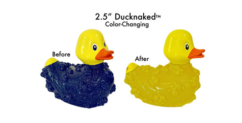 2.5" Little Ducknaked  - Color-Changing Rubba Ducklet.  To activate his condition (color-changing abilities); simply place Little Ducknaked on the dash of your car and within seconds watch the warm sun transform its blue bubbly coat strip away to become Ducknaked.