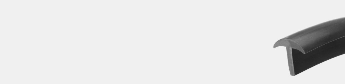 Solid Rubber T Seals