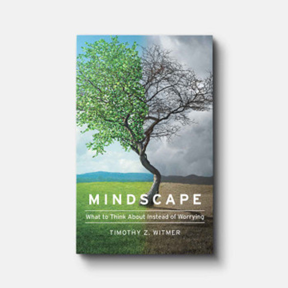 Mindscape: What to Think about Instead of Worrying