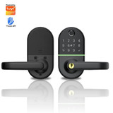 Keyless Entry Door Lock, Fingerprint Smart Door Lock with Keypad and Handle