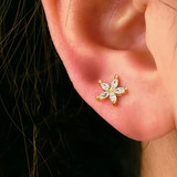 925 Sterling Silver Post Stud Earrings 14K Gold Plated Clear CZ Marquise Cluster Flower (7mm)