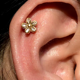 Earrings - S925 Sterling Silver Post 14K Gold Plated Flower Stud Earring – Dainty Cubic Zirconia Floral Hypoallergenic Stud for Women (9mm) Earrings - S925 Sterling Silver Post 14K Gold Plated Flower Stud Earring – Dainty Cubic Zirconia Floral Hypoallergenic Stud for Women (9mm)