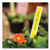 Brother Genuine TZe-621 black on yellow laminated labels used as weather-resistant garden plant markers and herb labels
