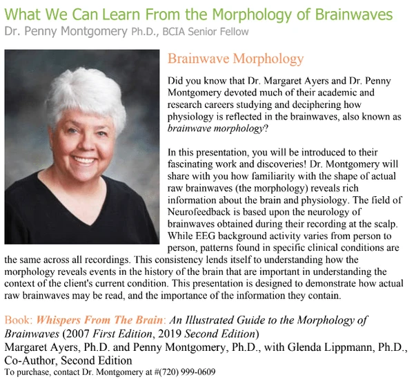 What We Can Learn from the Morphology of Brainwaves