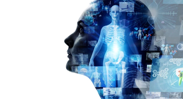 Developmental Trauma: The Body (Part 2)