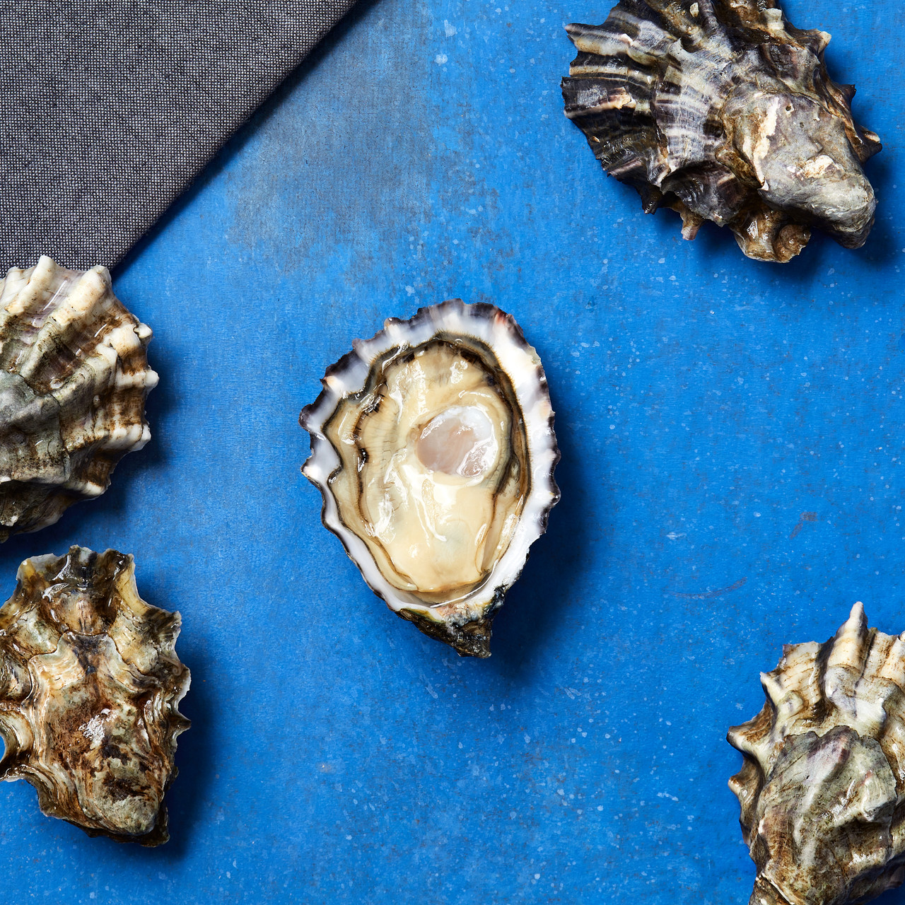 Fresh Oysters for Sale Online Buy Live Oysters Taylor Shellfish Farms