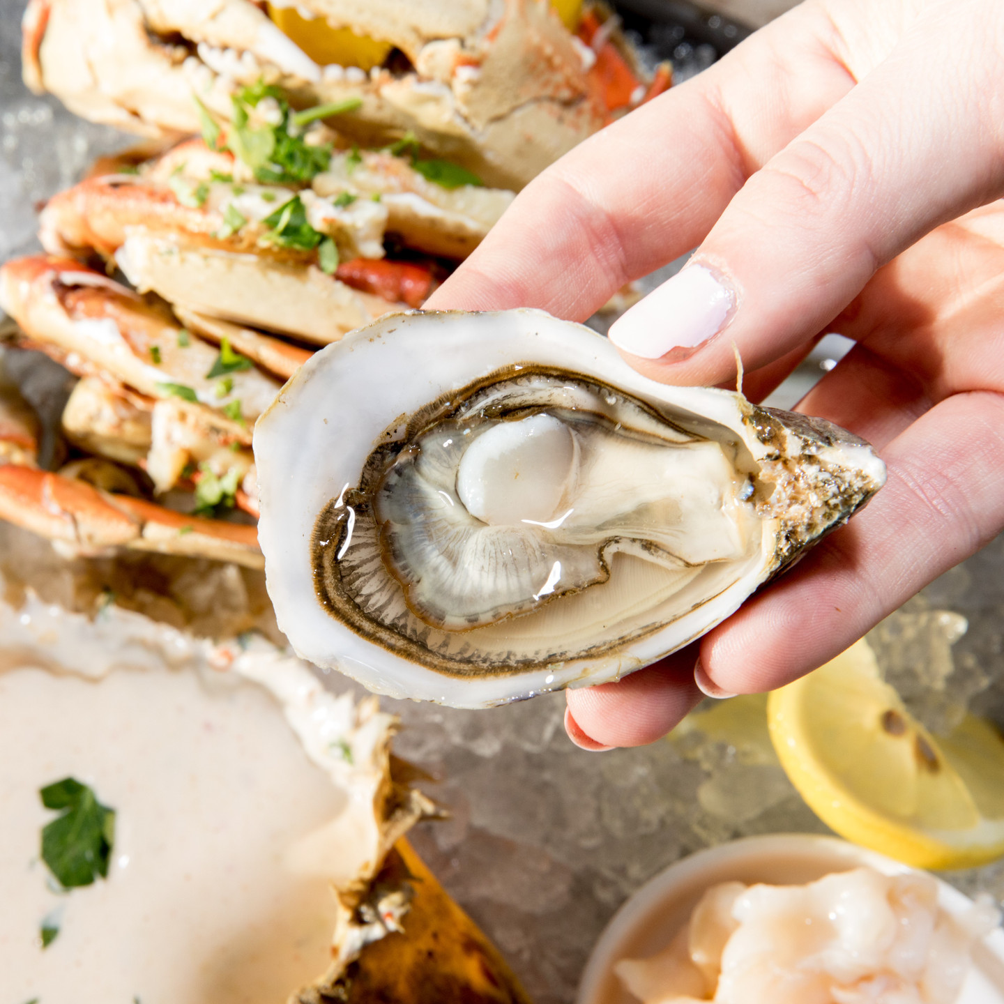 Oysters Online