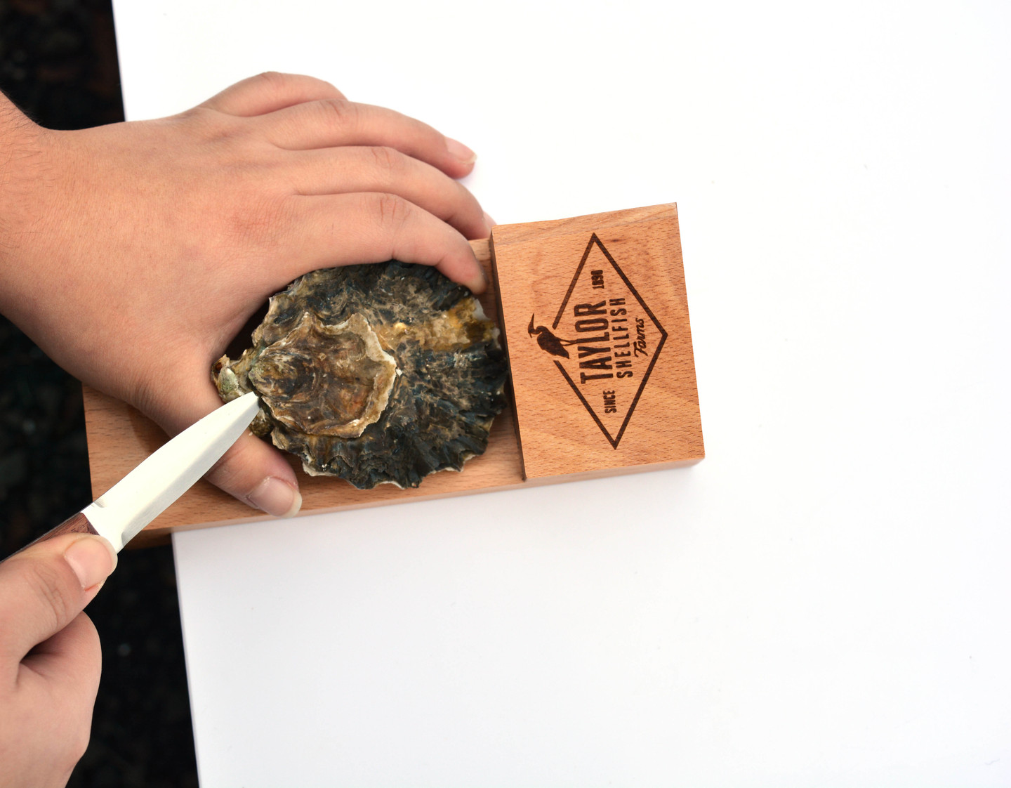Shucking Block