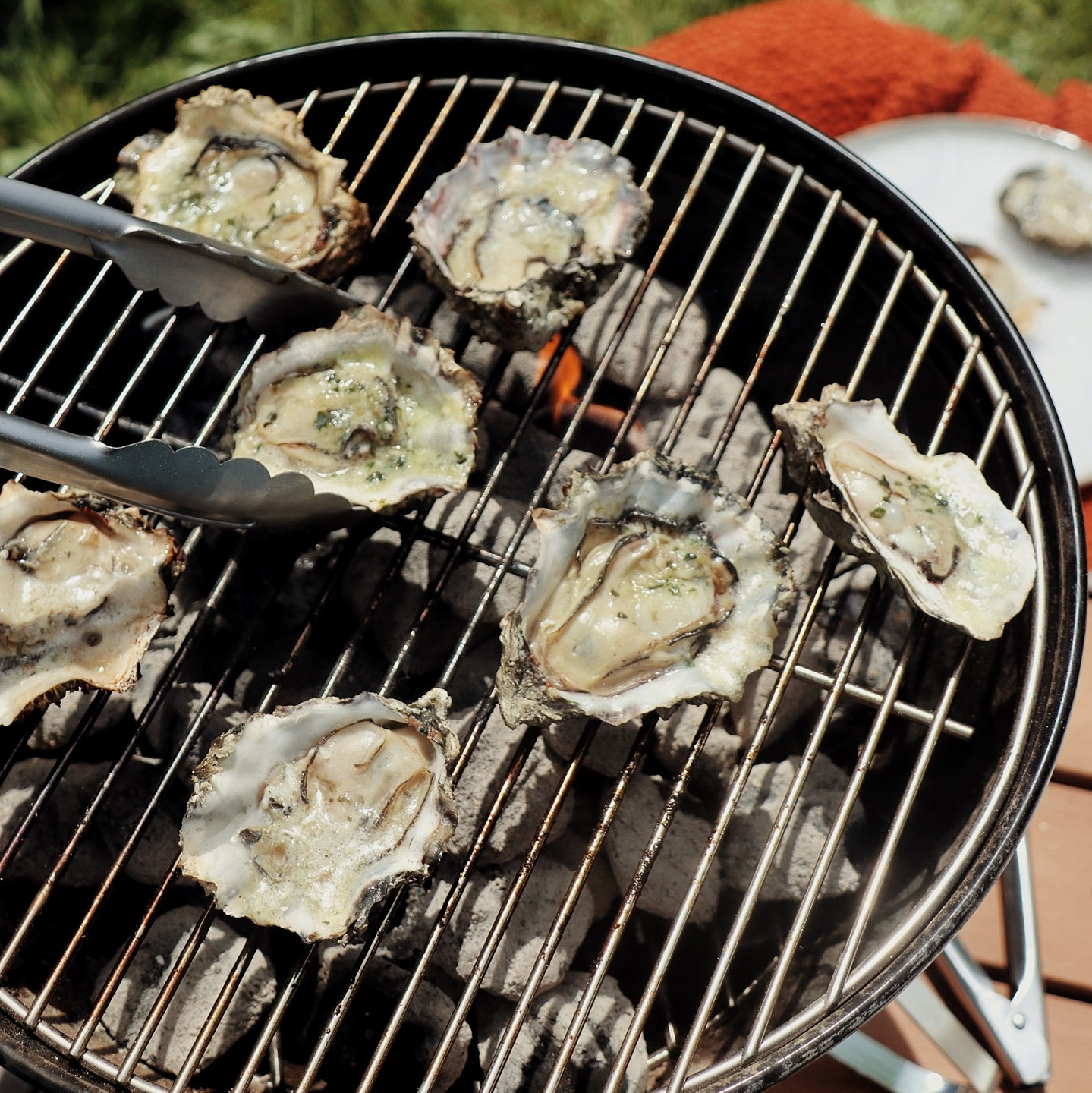 Taylor Live Pacific Griller Kit (30 pcs)