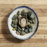 Olympia Oysters (30 pcs)