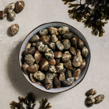 Manila Clams (5lbs)
