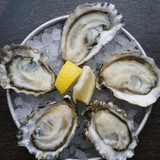 Sumo Kumo Oysters (30 pcs)