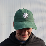 Taylor Evergreen Oyster Dad Hat
