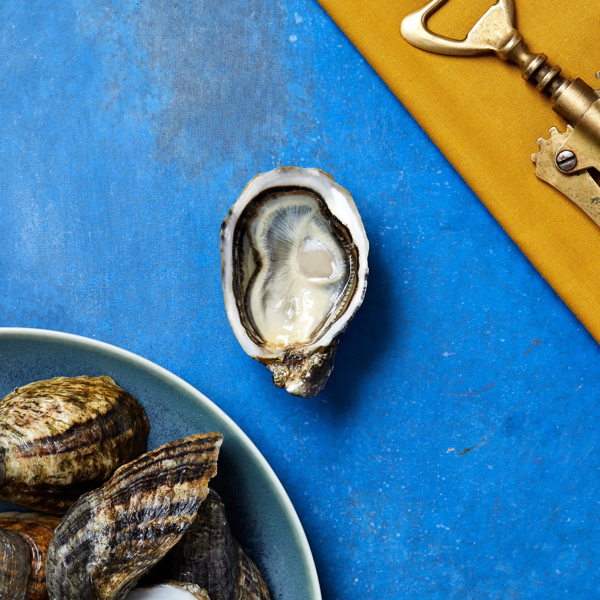 Fat Bastard Oysters Big Oysters Taylor Shellfish Farms