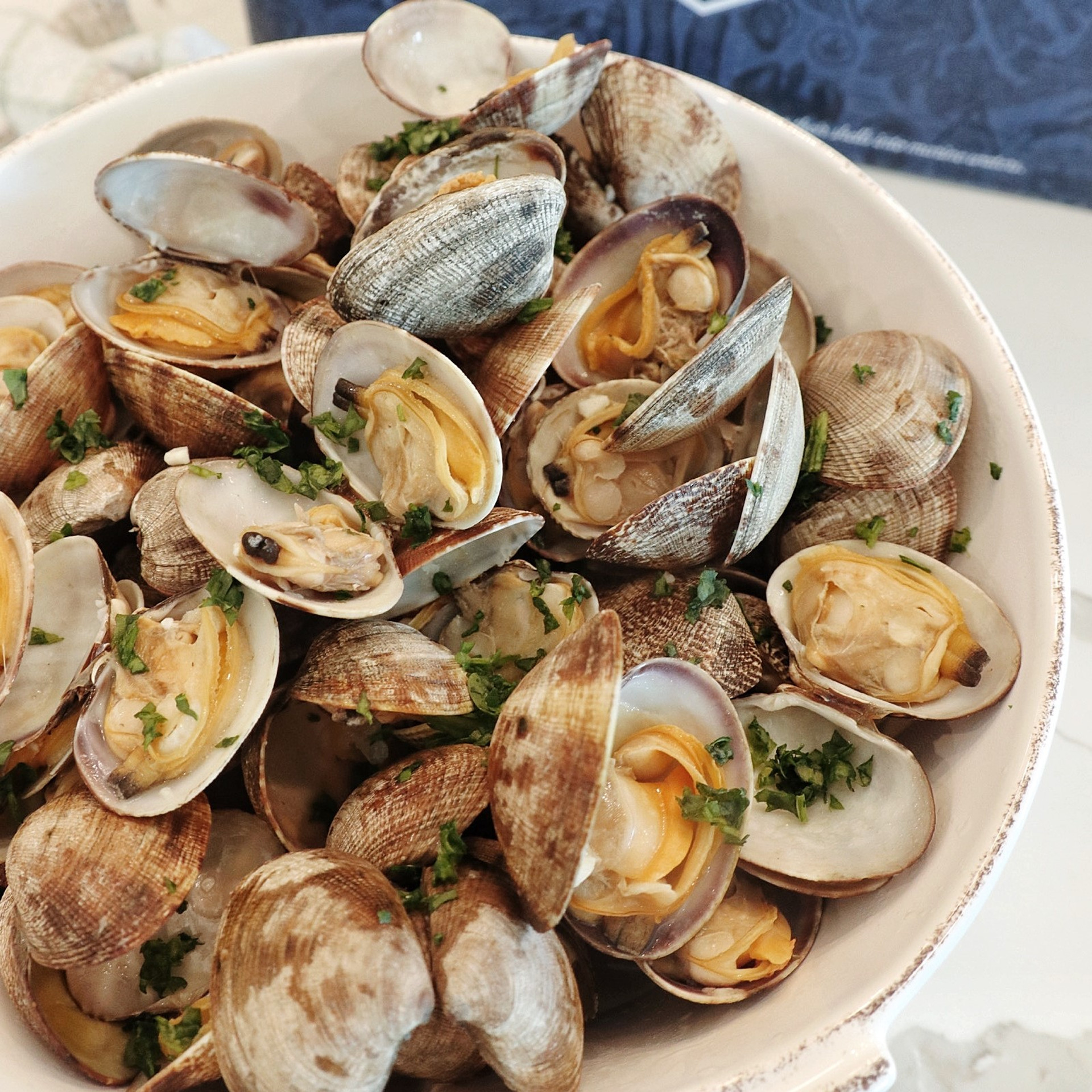 Manila Clams Taylor Shellfish Farms