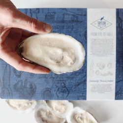 Virginica Frozen Top Off Oysters (30 pcs) Virginica Frozen Top Off Oysters (30 pcs)