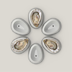 OCK Oyster Coasters (6 Pack)