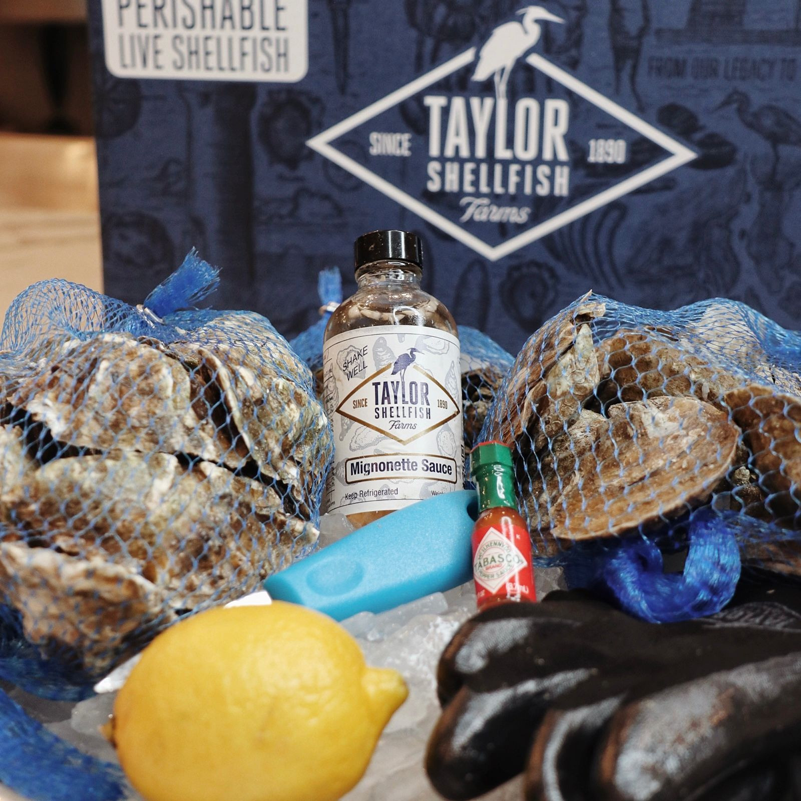 Fresh Oysters for Sale Online Buy Live Oysters Taylor Shellfish Farms