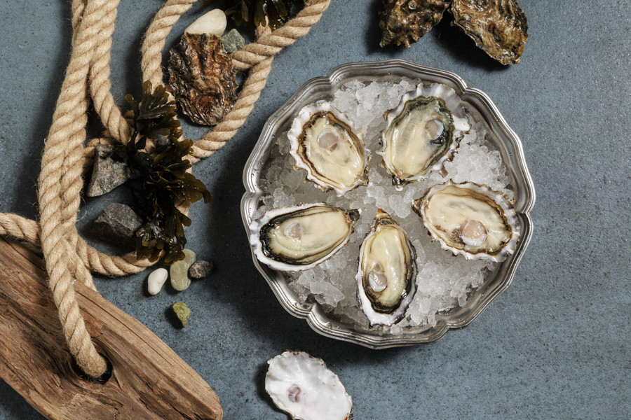Oysters