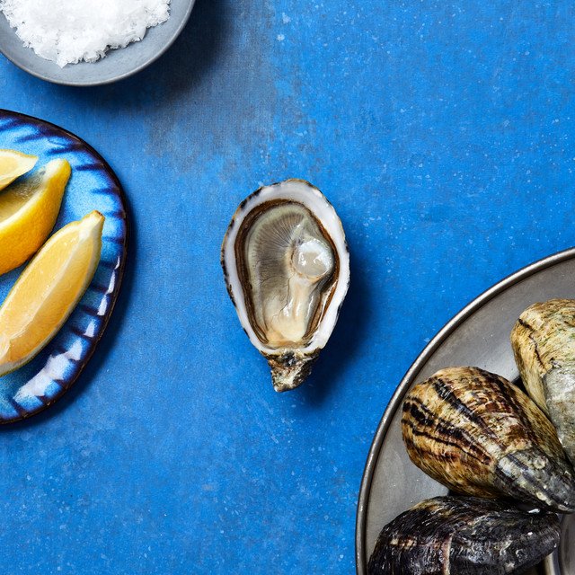 Kumamoto Oysters (30 PCS) Japanese Oysters Taylor Shellfish Farms