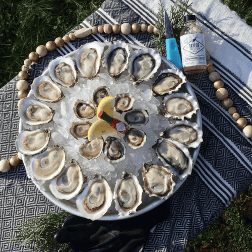 Practical Stainless Steel Oyster-shaped Grooves Oyster Seafood