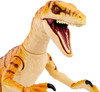 Jurassic World Amber Collection Tiger Velociraptor 6 inch Action Figure