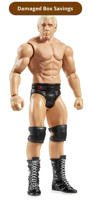 WWE Wrestling Summer Slam Ric Flair Figure DAMAGED PACKAGING FRR98 from Pappystoyshop.com